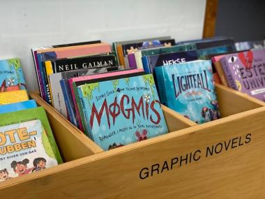 Graphic novels